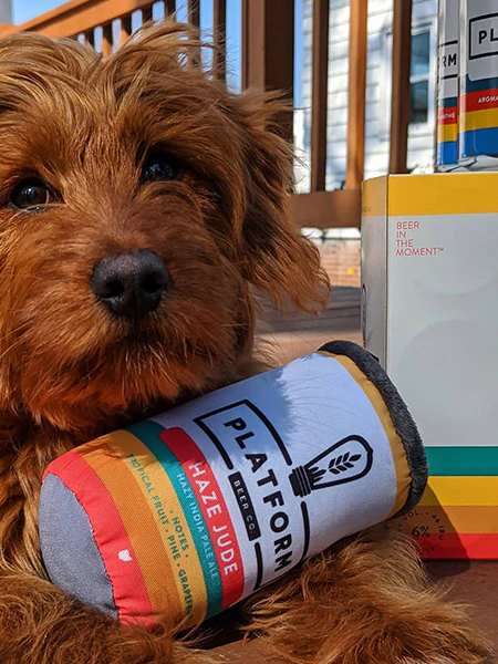Customizable Beer Can Dog Toys